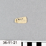 495438