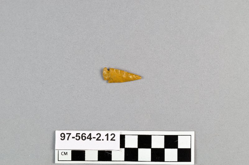 495494