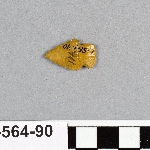 495546