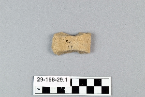 29-166-29.1