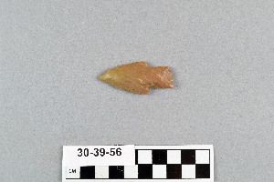 30-39-56