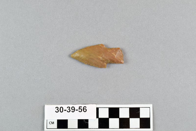 495842