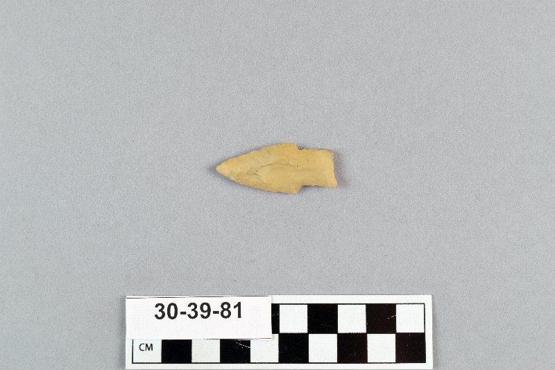 495854