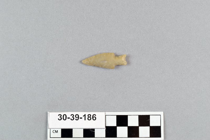 495920