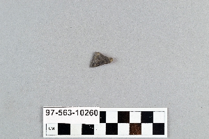 97-563-10260