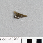 496020