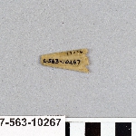 496030