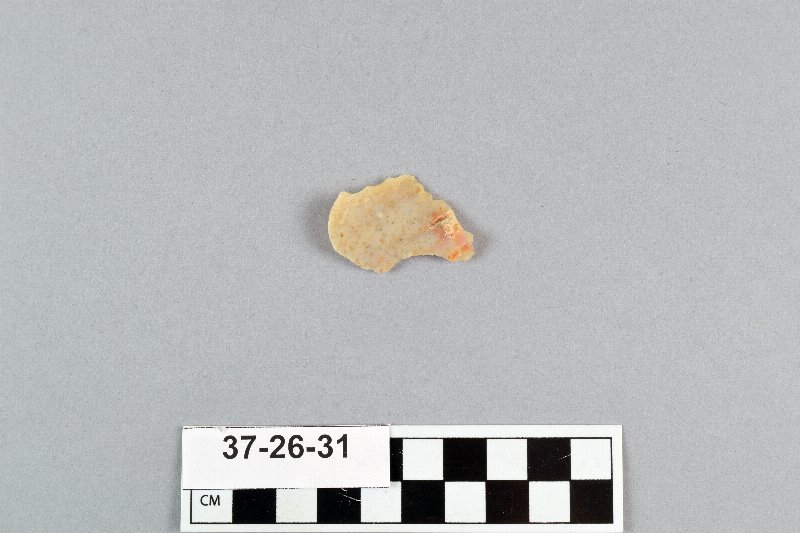 496129