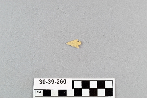 30-39-260
