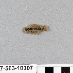 496248