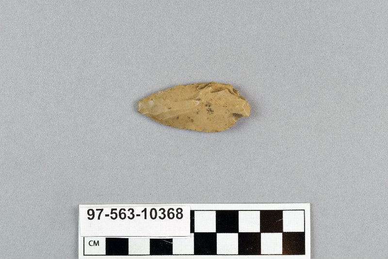 496337