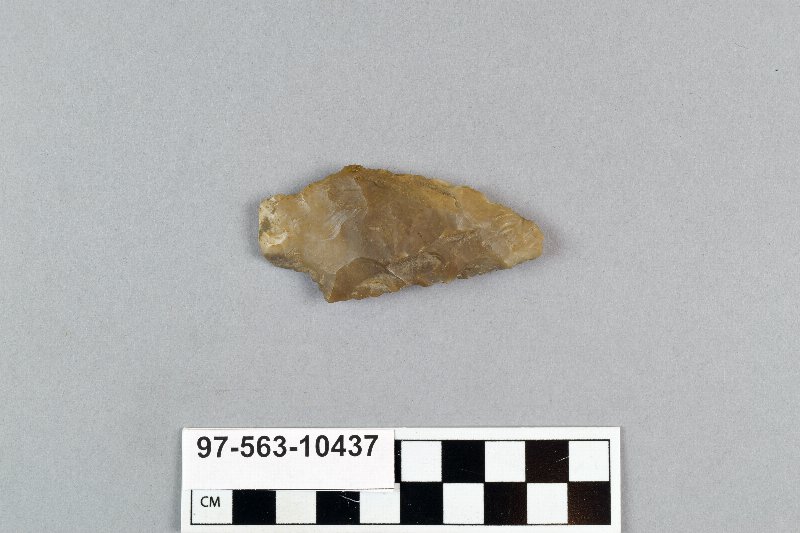 496391