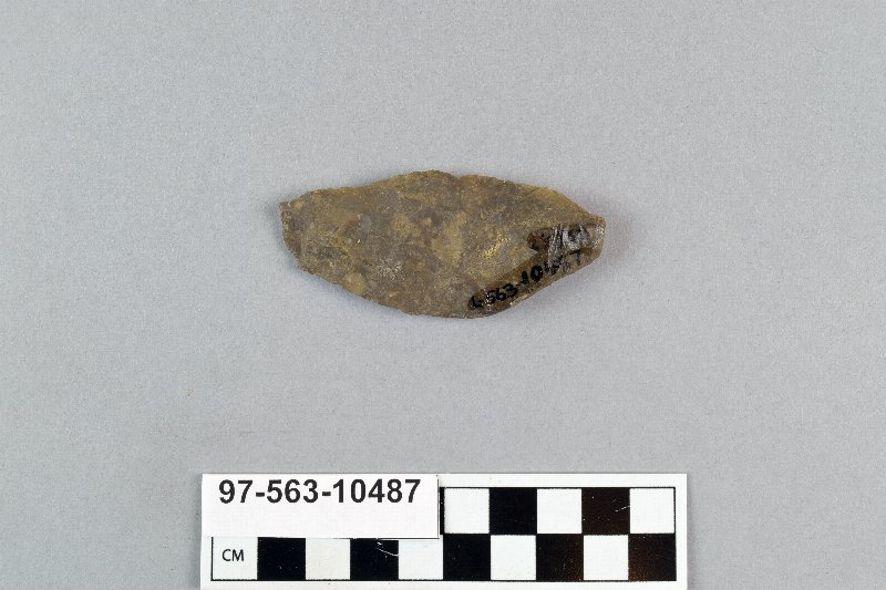 496491