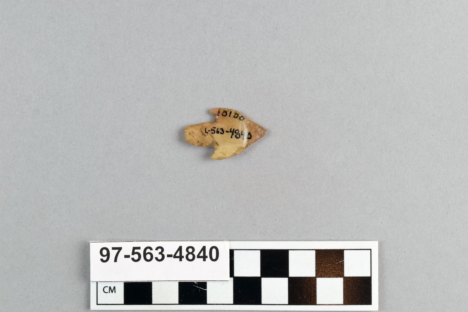 497509