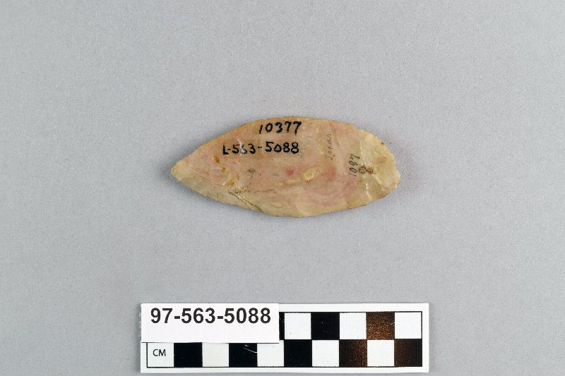 498294