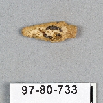 499028
