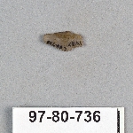 499034