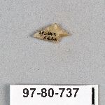 499036