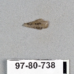 499038
