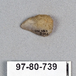 499040