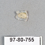 499057