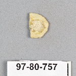 499061