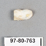 499067
