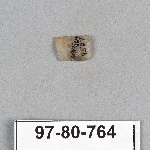 499069