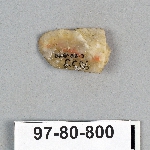 499141