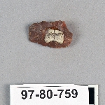 499170