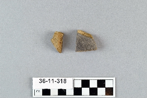 36-11-318