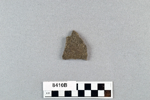 8410B