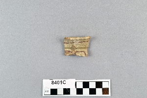 8401C