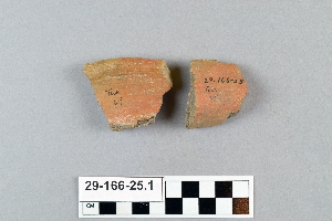 29-166-25.1