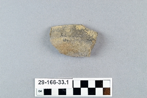 29-166-33.1