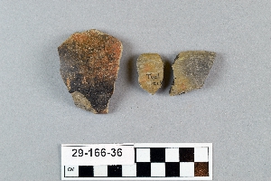 29-166-36
