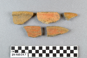 29-166-24.1