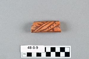 48-5-9