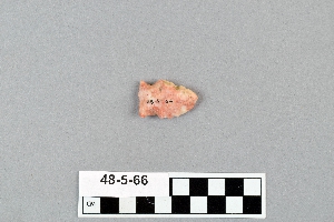 48-5-66