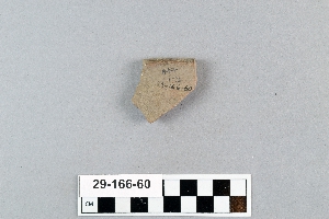 29-166-60