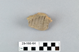 29-166-64