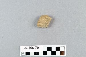29-166-70