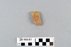 29-166-81