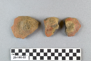 29-166-65