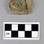 499895