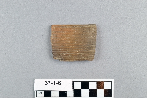 37-1-6