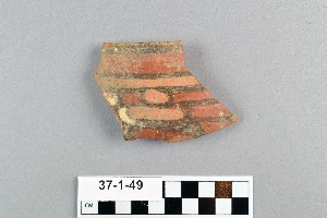 37-1-49