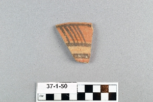 37-1-50