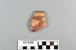 37-1-55