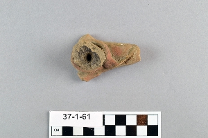 37-1-61
